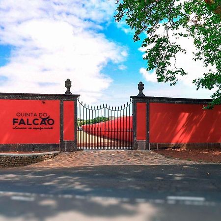Quinta Do Falcao Almagreira  Zewnętrze zdjęcie